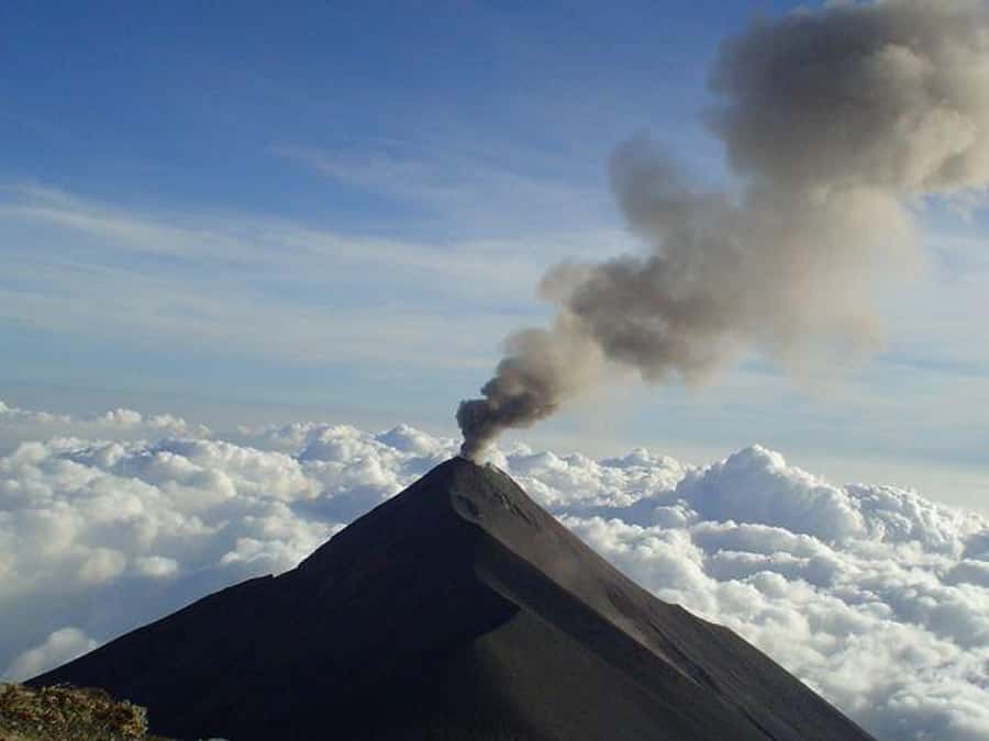 1 Day Acatenango Volcano Hike from Antigua - Cloud forest zone: birds, tree giants, and Quetzal country