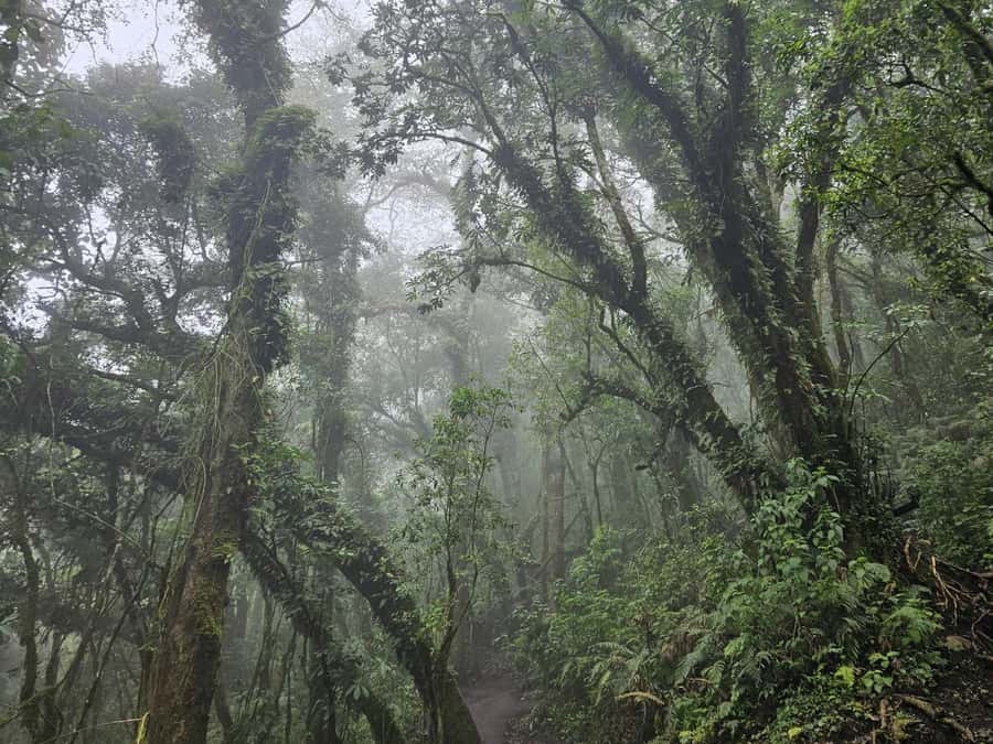 2-day tour from Antigua 1 night in Acatenango Volcano - Price and the Real Costs You Need to Budget