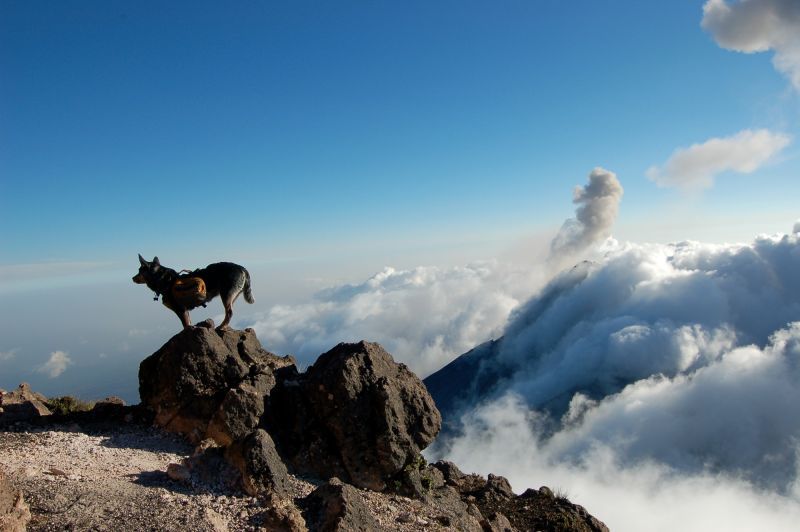 Acatenango Volcano 2-Day Hike - Difficulty and Who This Fits Best