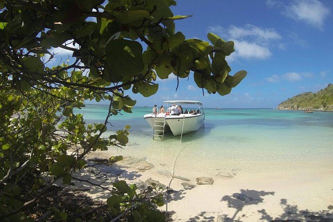 Adventure Antigua - Eli's Original Eco Tour - Passing Guiana Island: why mangroves are a nursery, not just coastline