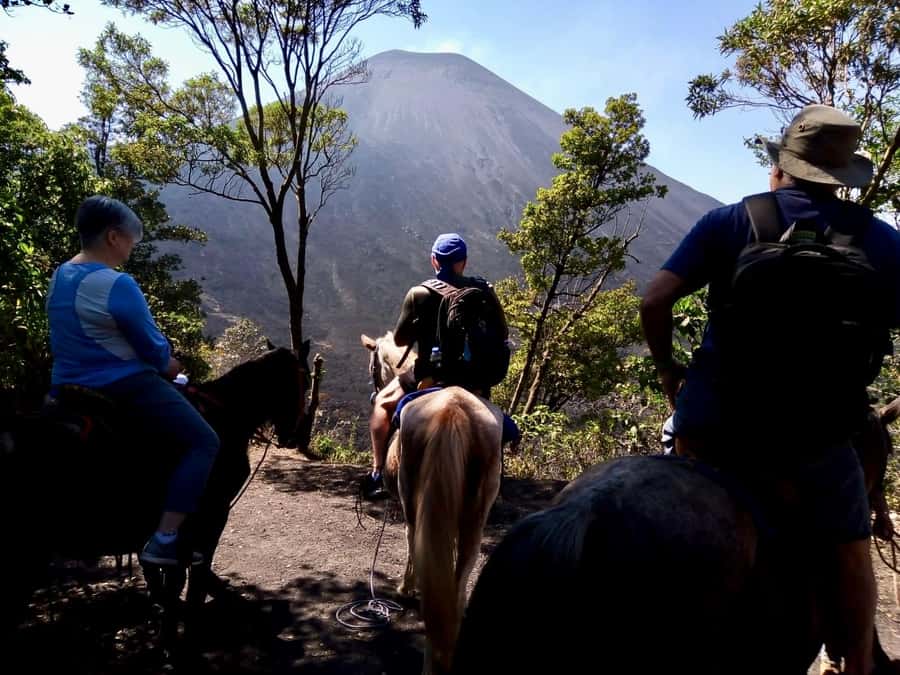 Antigua Guatemala: Private Day Tour to Pacaya Volcano - Price and value: is $95 per person fair?