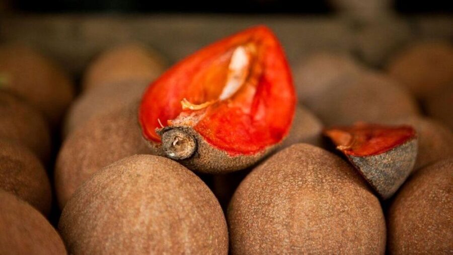 Antigua Guatemala: Street Food Walking Tour with Tastings - Coffee, atol, and local drinks that keep the tour moving