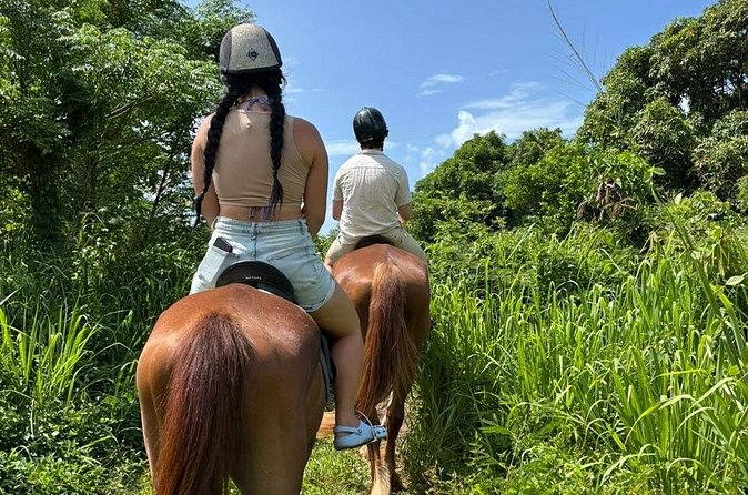 Antigua Horse Ride and Swim - What’s included, and how that affects your comfort level
