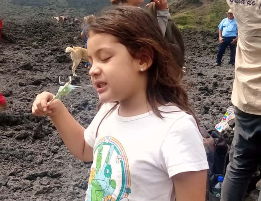 Antigua: Marshmallows Roasting at Pacaya Volcano 6-hour Tour - Pickup and transfers in Antigua: efficient, but watch the meeting point