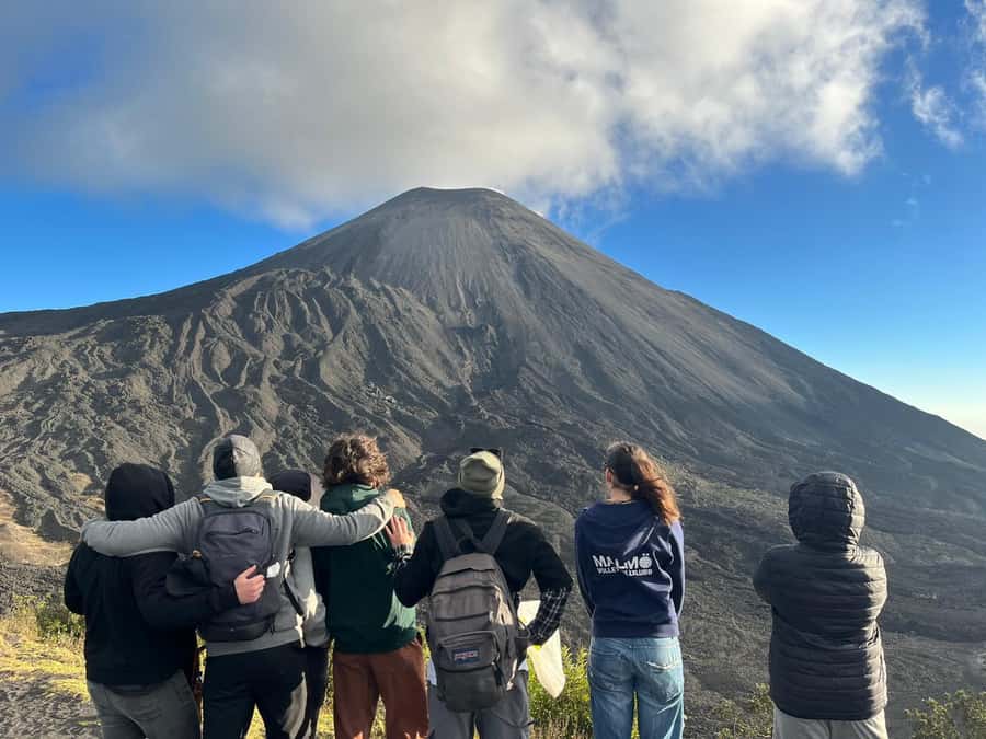 Antigua: Marshmallows Roasting at Pacaya Volcano 6-hour Tour - Roasting marshmallows on volcanic heat: the signature moment