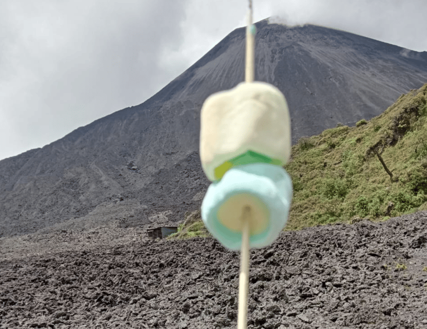 Antigua: Marshmallows Roasting at Pacaya Volcano 6-hour Tour - Price and value: $29 plus the entrance fee and what’s not included