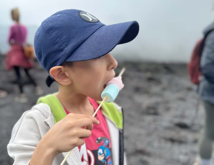 Antigua: Marshmallows Roasting at Pacaya Volcano 6-hour Tour - Hiking up Pacaya: wet footing, first climbs, and guide pacing