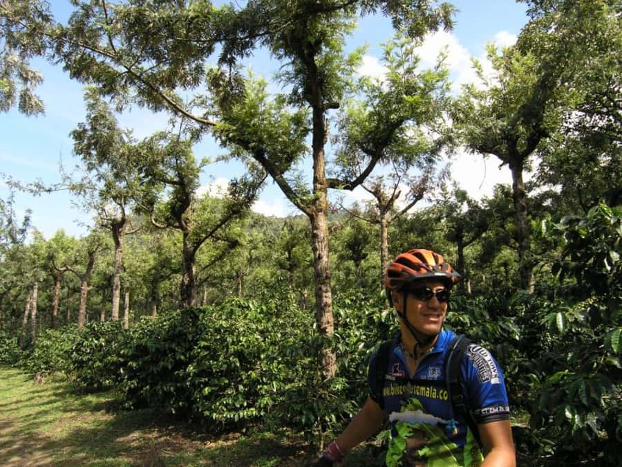 Antigua Sip 'n Cycle Half-Day Bike Ride and Coffee Tour - Guide energy is the difference between good and memorable