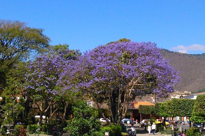 Antigua Walking Tour Morning and Afternoon - Starting at Café Condesa, then Plaza Central Park for real orientation