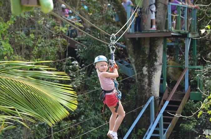 Antigua Zipline Canopy Adventure from St John’s - The Course in Plain English: Ziplines, Bridges, and Rope Challenges