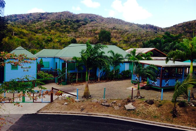 Antigua Zipline Canopy Adventure from St John’s - Over the Gorge: What the Views Feel Like