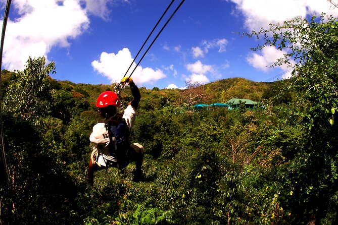 Antigua Zipline Canopy Adventure from St John’s - The Physical Reality Check: Uneven Ground and the Final Steps