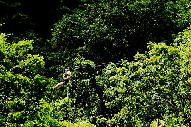 Antigua Zipline Canopy Adventure from St John’s - The Crew Makes or Breaks It: Names, Vibes, and Support