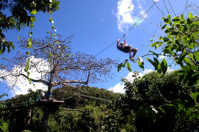 Antigua Zipline Canopy Adventure from St John’s - Gear Up and Get Trained: What the Safety Briefing Really Does