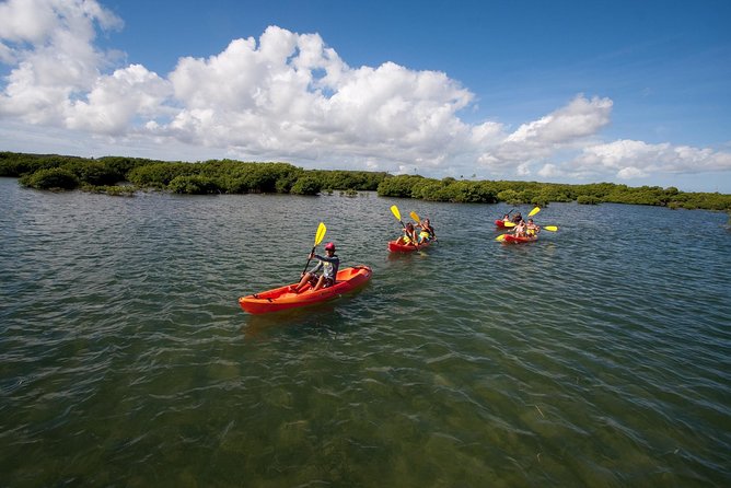 Antigua Zipline & Kayaking Combo From St. John's - Your half-day in Antigua: zipline speed, kayak calm