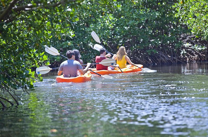 Antigua Zipline & Kayaking Combo From St. John's - Zipline over Antigua’s tropical rainforest canopy