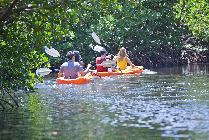 Antigua Zipline & Kayaking Combo From St. John's - Price and value: what $222.47 includes and why it adds up