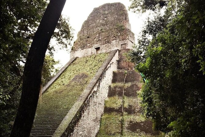 Basic Tour to Tikal Includes Transportation and Guide Service - Stop 2: The Tikal main entrance, where money and bathrooms matter