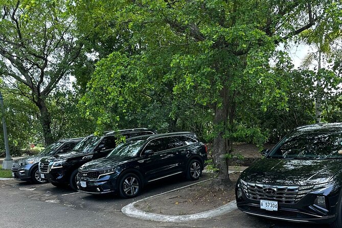 Biggvee Premium Airport One Way Transfer - The kind of traveler who benefits most