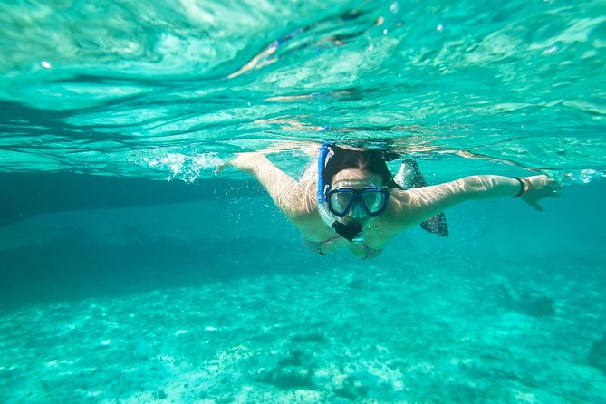 Cades Reef Snorkel Cruise from St. John's Antigua - What you’ll likely notice first, the reef and the crew