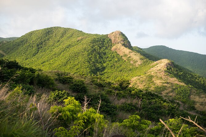 Caribbean Stonehenge - Hike on Green Castle Hill, Antigua. - Family-friendly, moderate fitness, and group size you can handle