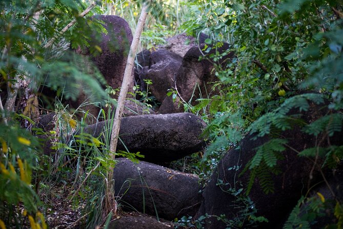 Caribbean Stonehenge - Hike on Green Castle Hill, Antigua. - What you actually get: guided hiking, archeoastronomy, and Stonehenge-style viewing