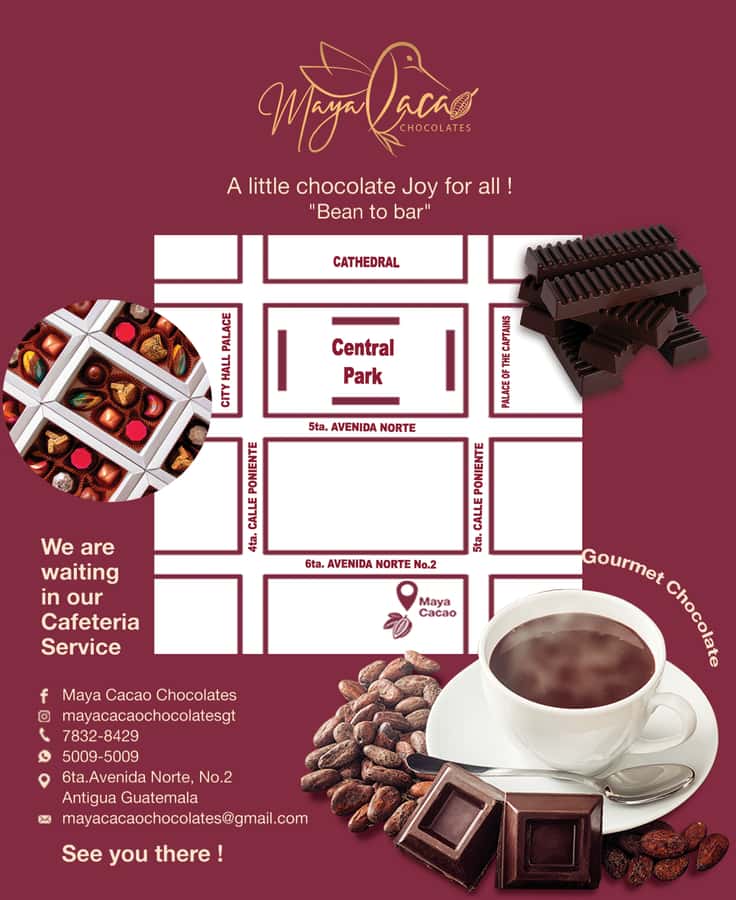 Chocolate workshop; gastronomic experience of cocoa. - Should You Book It?