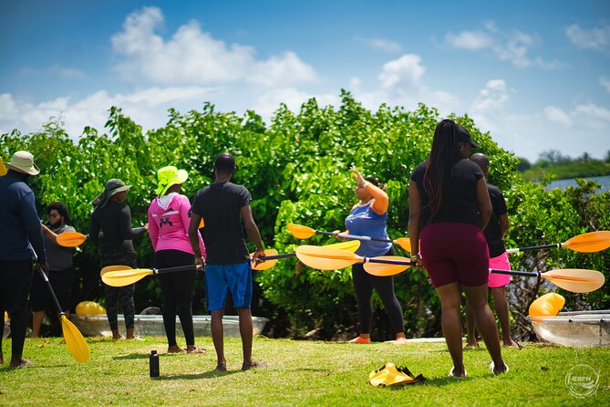 Clear Kayak Tour in Mangrove Antigua - Brittany and the EcoShores team: communication and teaching style