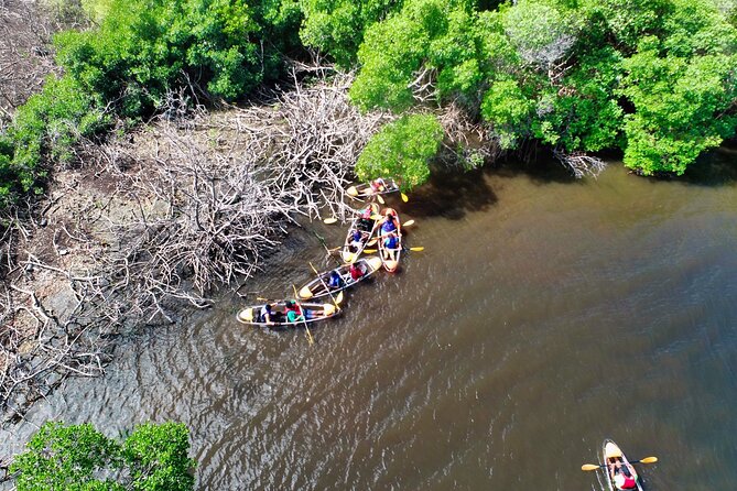 Clear Kayak Tour in Mangrove Antigua - Price and value: is $90 worth an hour of mangroves?