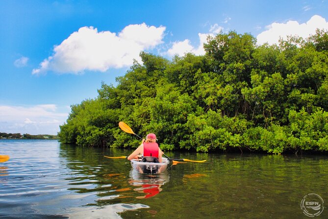 Clear Kayak Tour in Mangrove Antigua - The 1-hour flow on the water in Antigua’s mangroves