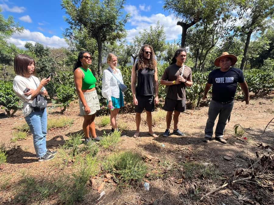 Coffee farm experience - Antigua Guatemala pickup to Ciudad Vieja, the 3-hour rhythm