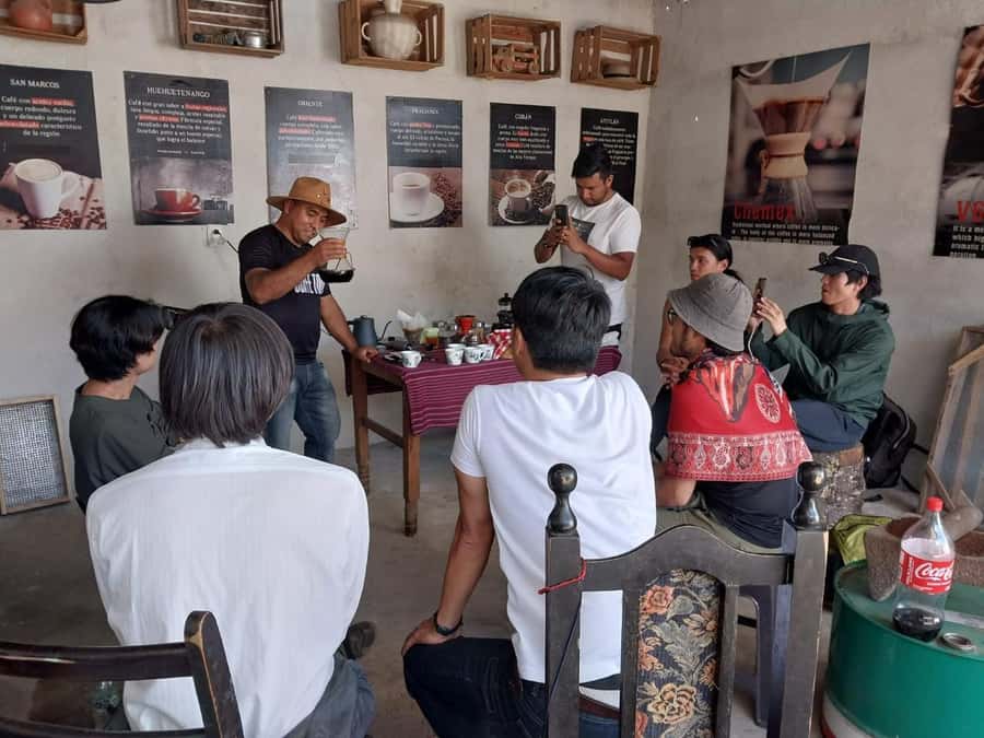 Coffee farm experience - Plant care, conditions, and the daily effort you can actually picture