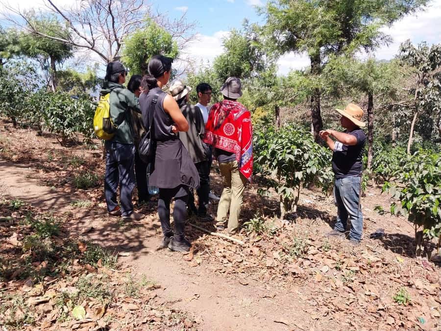 Coffee farm experience - FAQ