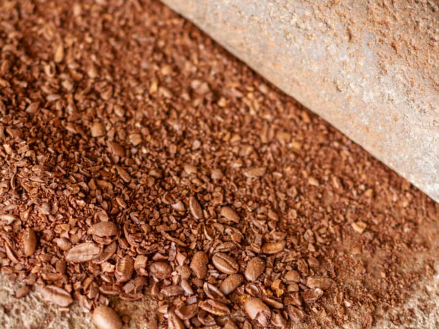 Coffee Tour in Antigua Guatemala - From Antigua pickup to the Rivera farm near Ciudad Vieja