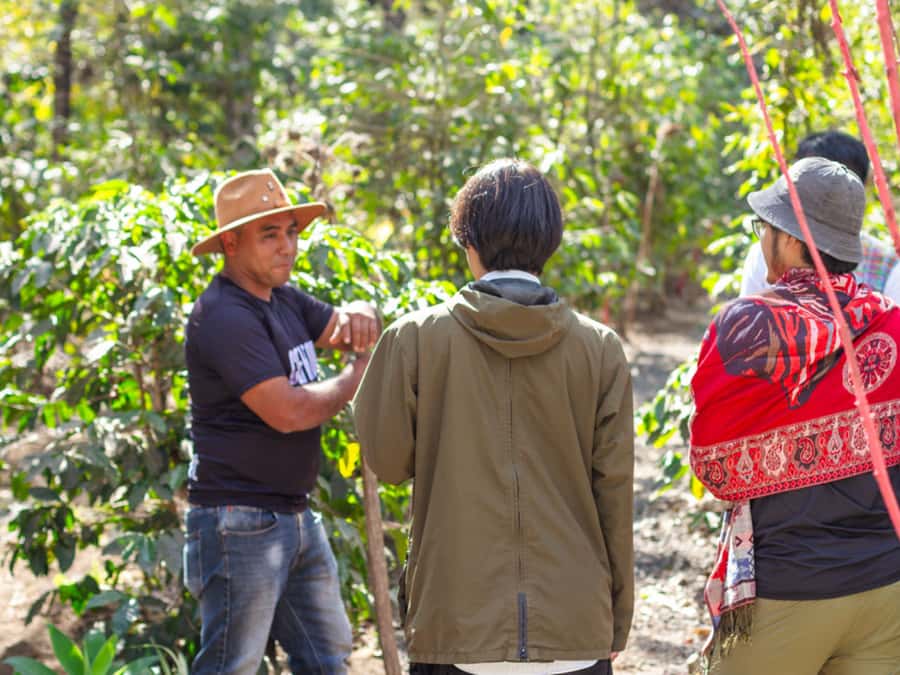 Coffee Tour in Antigua Guatemala - Price and value: is $69 fair for a half-day farm tour?