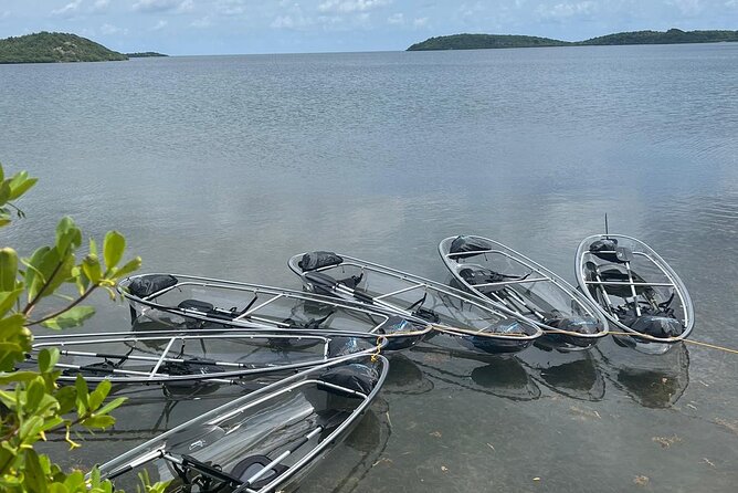 Crystal Kayak & Snorkel Eco Tour (with transfer) - Meeting Point, Timing, and How Transfers Fit In