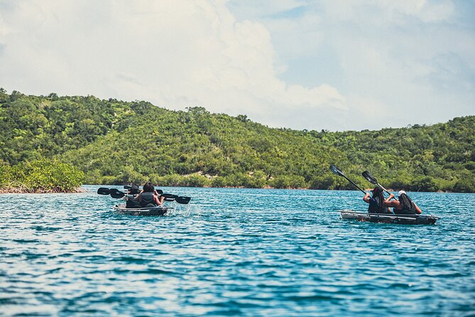 Crystal Kayak & Snorkel Eco Tour (with transfer) - Snorkeling After the Kayaks: Reef Time, Swimming Reality
