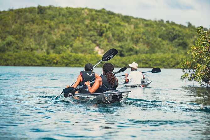 Crystal Kayak & Snorkel Eco Tour (with transfer) - Staff, Service, and the Human Touch That Changes the Day