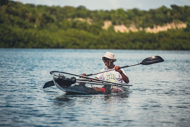 Crystal Kayak & Snorkel Eco Tour (with transfer) - Practical Tips So You Get the Best Day