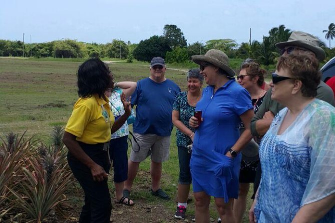 Cultural and Historical Home Tour in The Antiguan Experience - Why This Antigua Home And Pineapple-Farm Mix Makes Sense