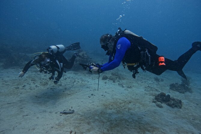 DiveCarib - An Eco-Friendly Certified Diver Trip in Antigua - Where you start at Dockyard Drive, and why the early timing matters