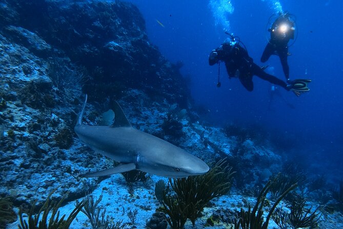 DiveCarib - An Eco-Friendly Certified Diver Trip in Antigua - The briefing, the gear setup, and how the tank plan affects your comfort