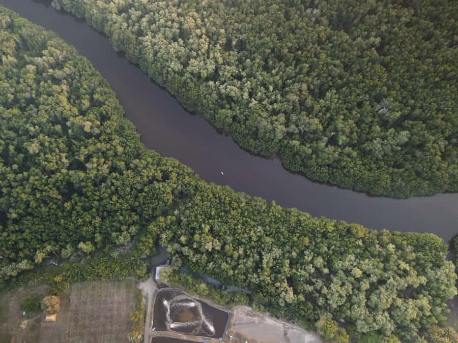 El Paredón: Mangrove Boat Tour with Optional Fishing - Your Guide, Spanish Language, and the Warm Welcome Factor