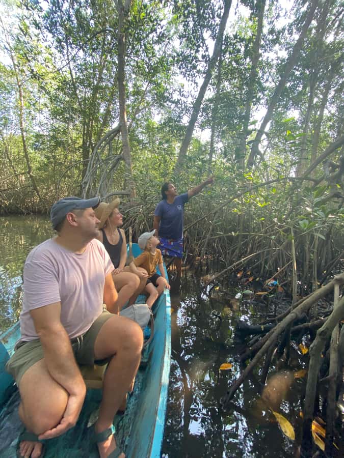 El Paredón: Mangrove Boat Tour with Optional Fishing - The Simple Logistics That Make This Tour Easier Than You’d Expect