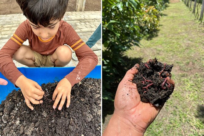 Experience: Organic Coffee, Avocados, Honey & More! - Key Highlights Worth Timing Your Antigua Day For