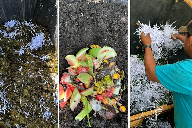 Experience: Organic Coffee, Avocados, Honey & More! - Composting Systems: Four Ways to Make Organic Fertilizer
