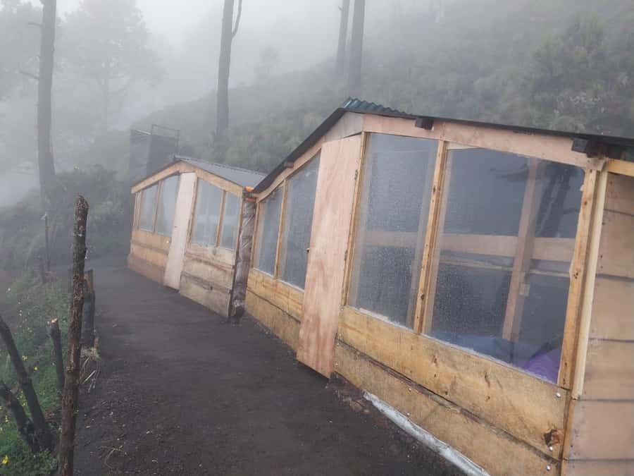 From Antigua: 2-Day Acatenango Volcano Hiking with Guide - Food, Water, and Cabin Comfort: Realistic Expectations for Two Nights of Volcano Living
