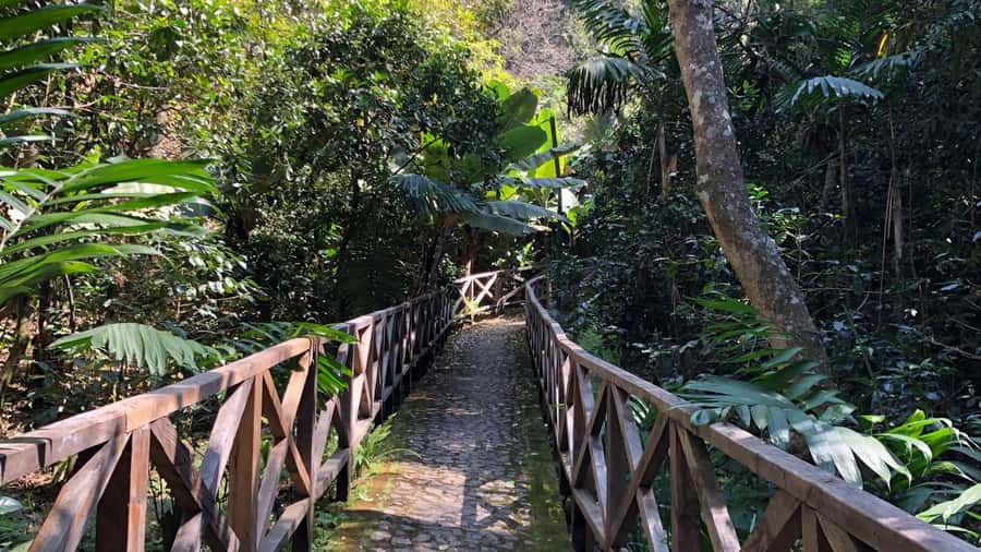 From Antigua Guatemala: Birdwatching and Scenic Hiking Tour - Lower trail birdwatching: where you slow down and look closely