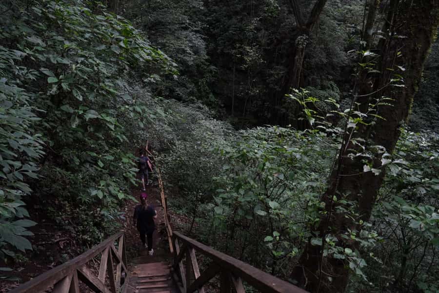 From Antigua Guatemala: Birdwatching and Scenic Hiking Tour - Price and value: is $95 worth it?