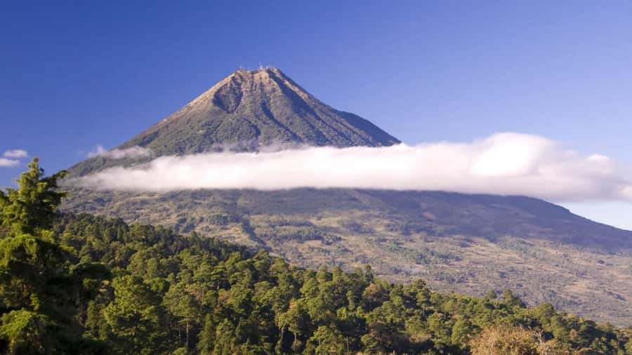 From Antigua Guatemala: Birdwatching and Scenic Hiking Tour - Getting picked up in Antigua and starting with birds